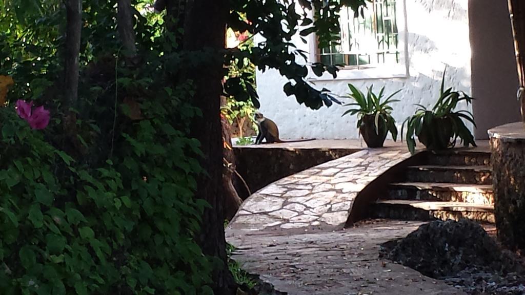 Villa Fortuna מאלינדי מראה חיצוני תמונה
